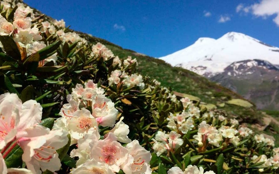 Красоты Кавказа (Эльбрус, Голубое озеро, Верхняя Балкария, Пятигорск)
