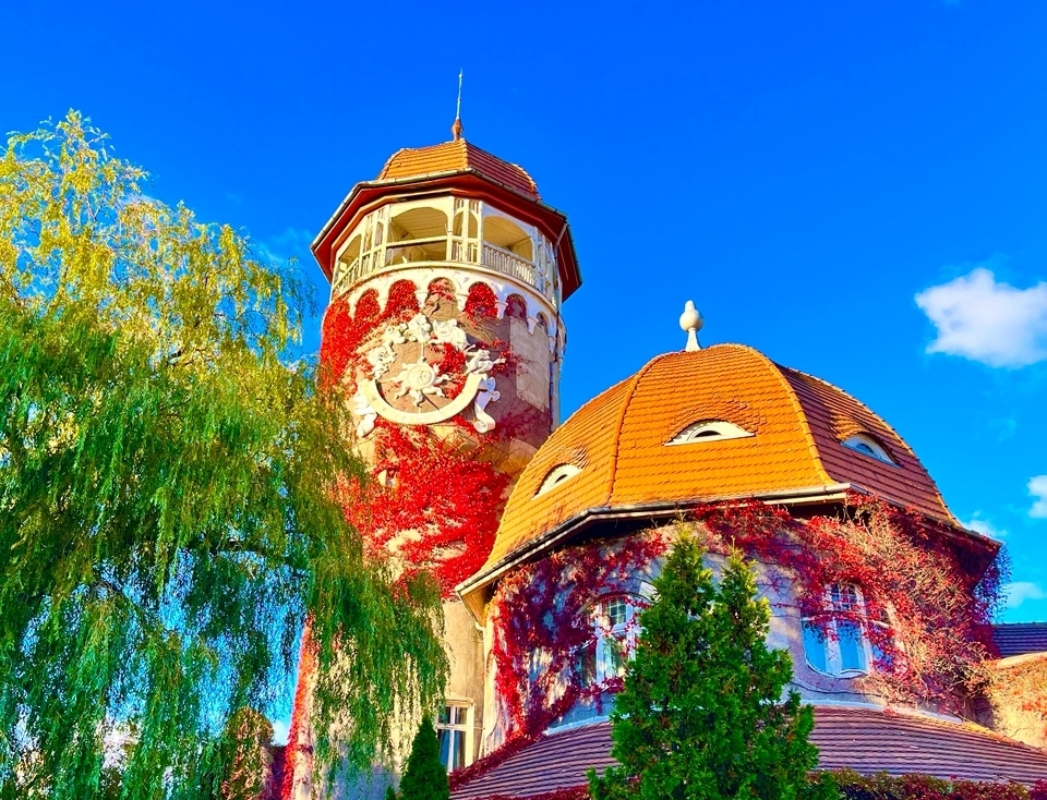 Авиатур в Калининград 